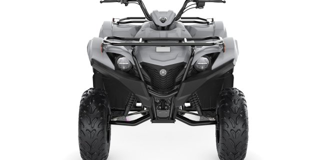 2022 Yamaha GRIZZLY 90 / YF09GNS